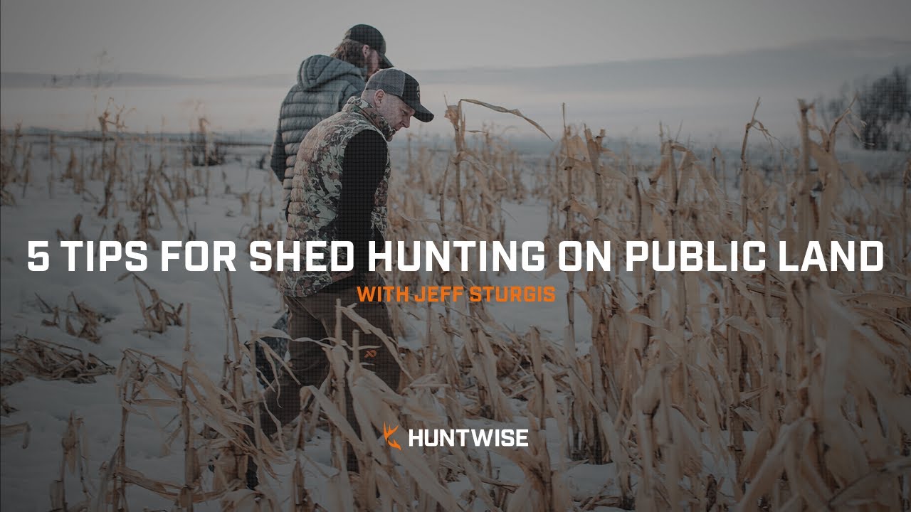 5 Tips for Shed Hunting on Public Land with Jeff Sturgis