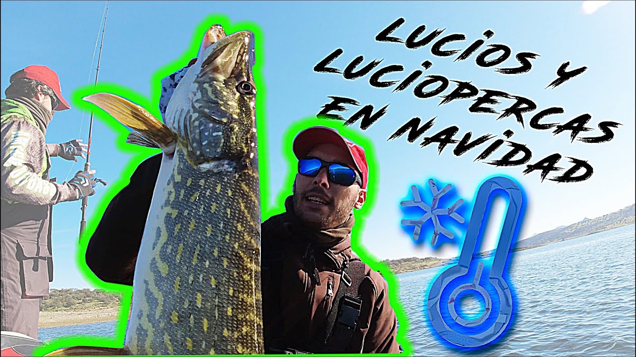 Pescamos LUCIOS y LUCIOPERCAS con mucho FRIO!! | ESTRENAMOS Equipos!