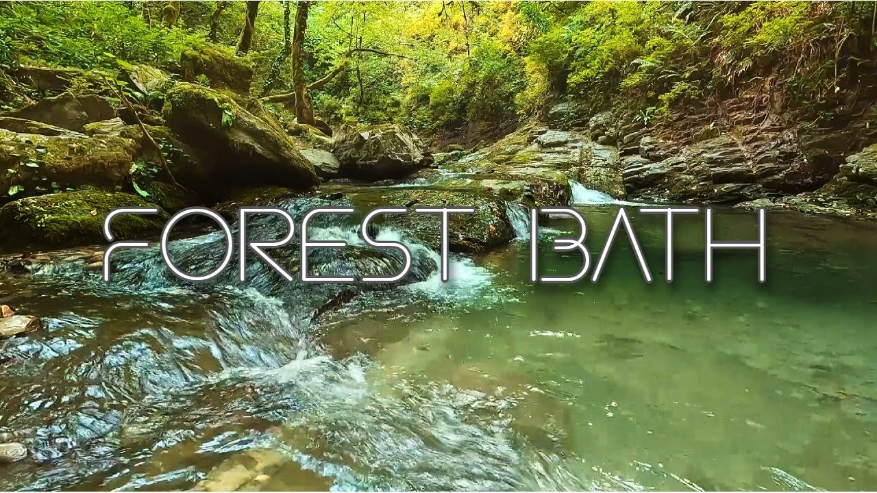 🌿 Forest Bath | Peaceful Waterfall Ambience &  Oriental Music To Cleanse Your Soul ⛩️