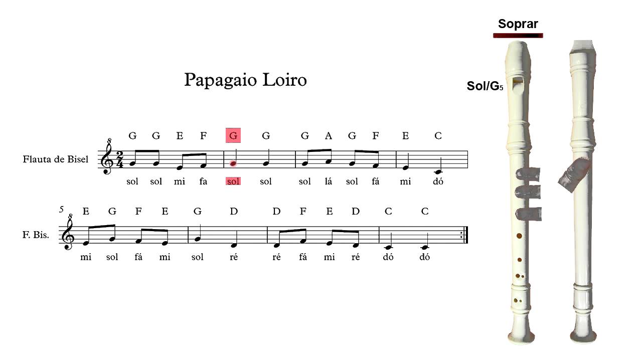 Flauta de Bisel (ou flauta doce) - Papagaio Loiro