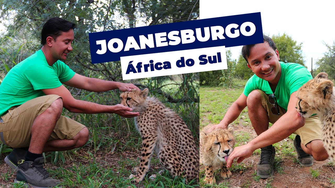 INTERAGI COM LEÕES NA RESERVA UKUTULA, EM JOANESBURGO  | Rodrigo Ruas