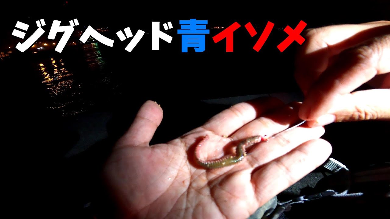 ジグヘッド青イソメで釣れる魚が強烈すぎる・・・