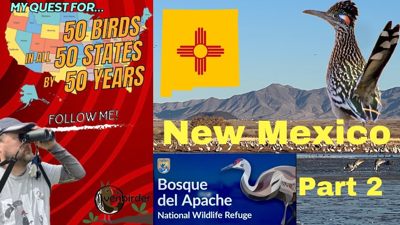 Bosque del Apache NWR - Birding New Mexico Part 2 - 50-50-50 Birding Challenge