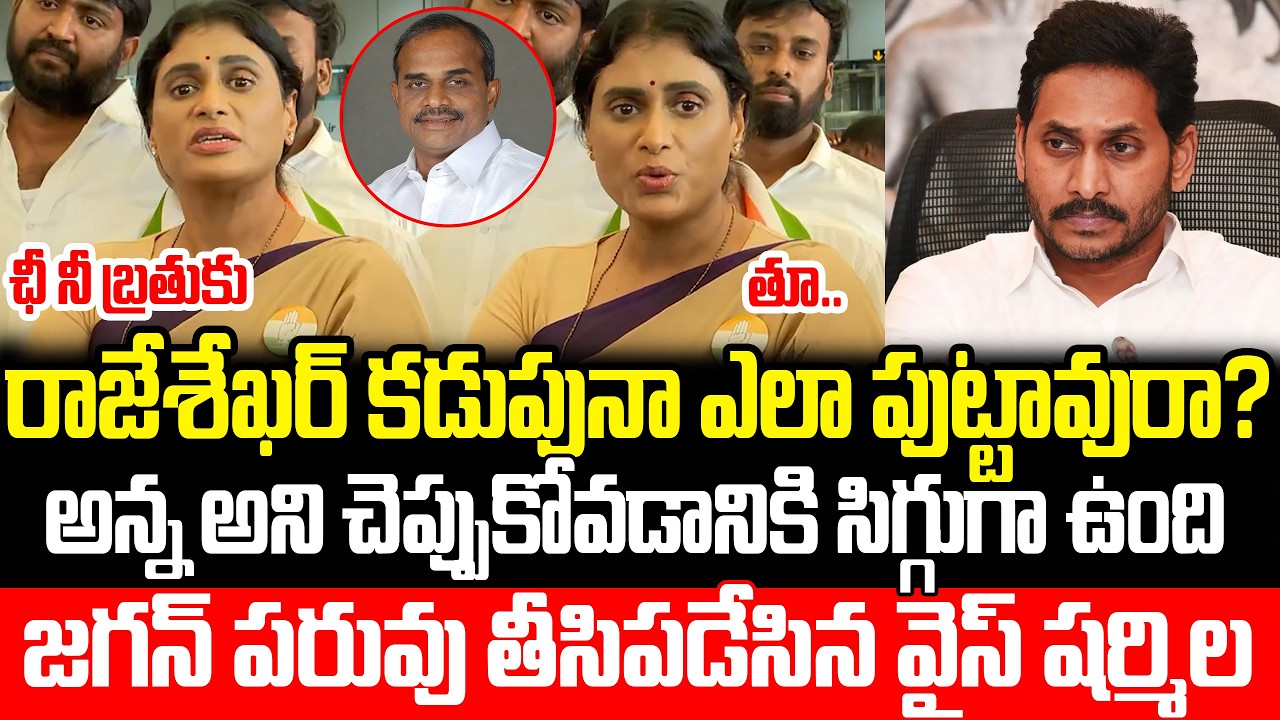 ప్రెస్ మీట్ మధ్యలో జగన్ని పిచ్చి పిచ్చిగా తిట్టిన షర్మిల | YS Sharmila Fire On Jagan | ISM Telugu