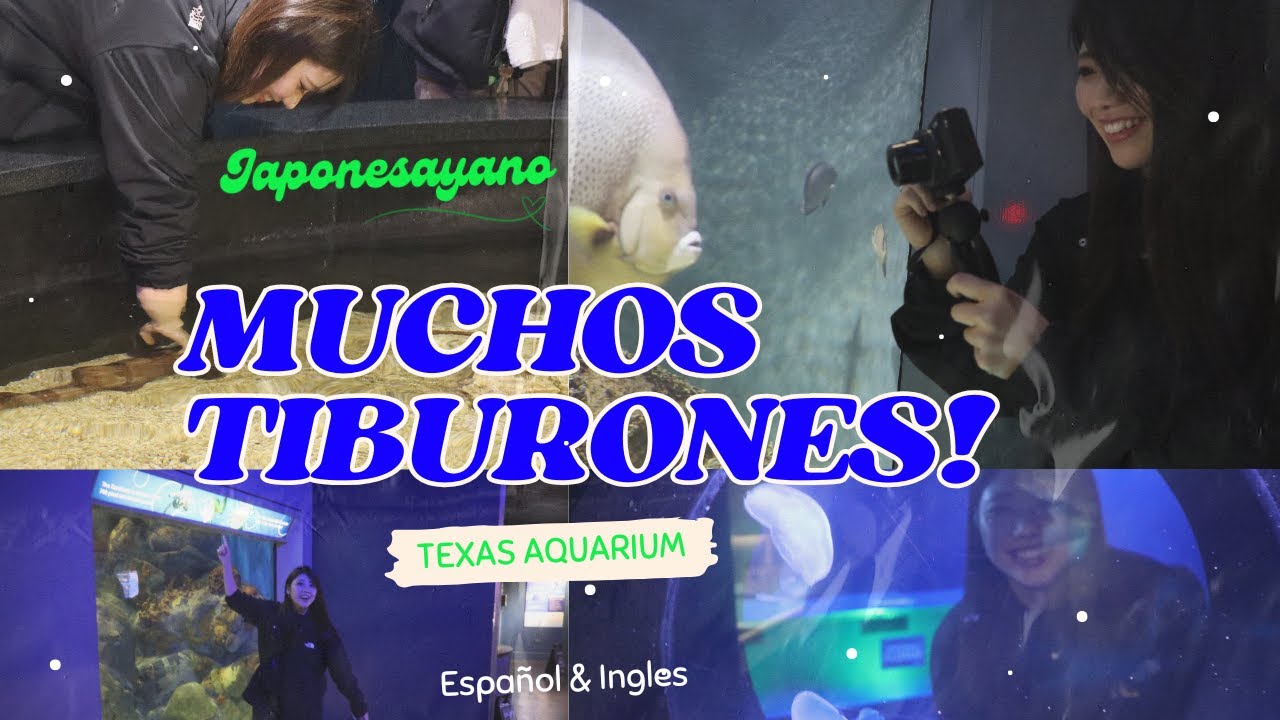 MUCHOS TIBURONES! | TEXAS AQUARIUM FT. MARIA