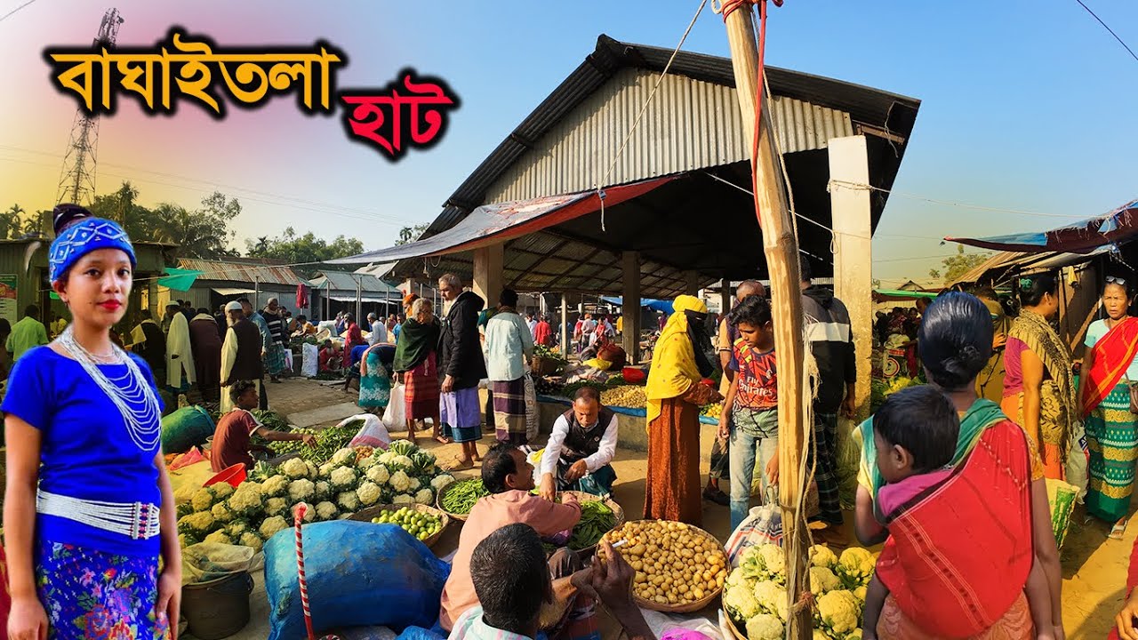 পাহাড়ী জনপদে হাঁস মুরগি মাছ সবুজ শাকসবজির গ্রামীণ হাট। Village Market। বাঘাইতলা বাজার ২০২৪