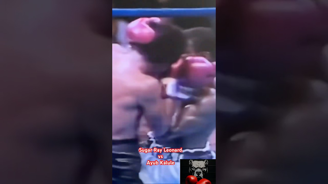 Leonard vs Kalule. 