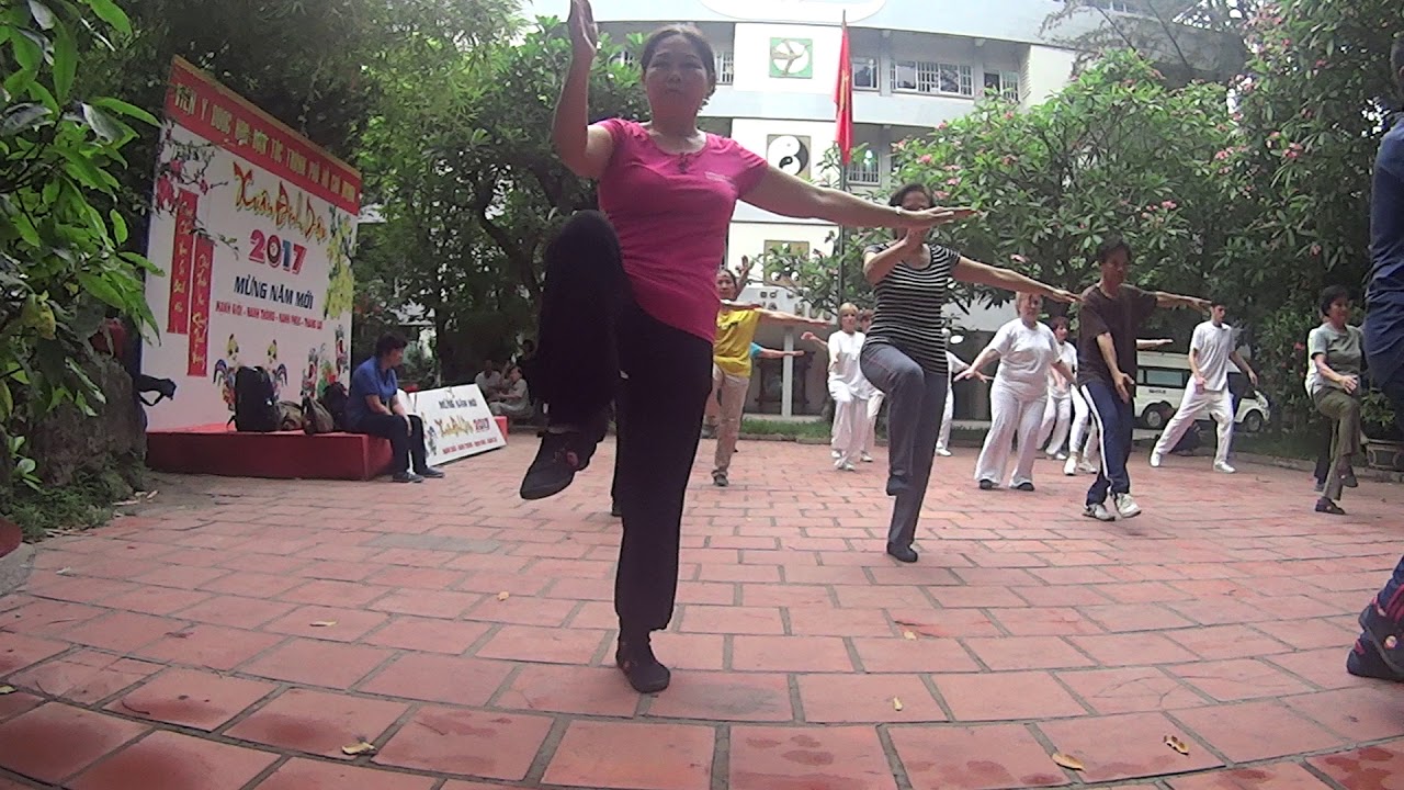 viet qi gong