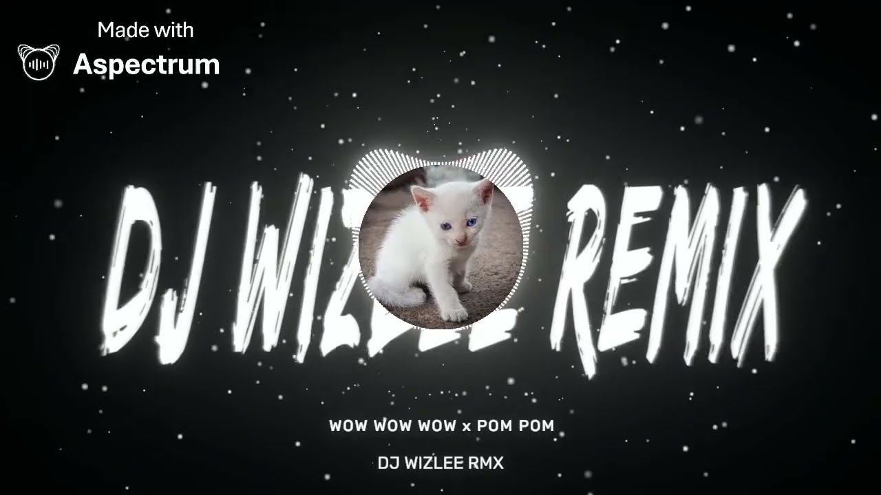 Wow Wow Woww x Pom Pom Budots — DJ WIZLEE RMX