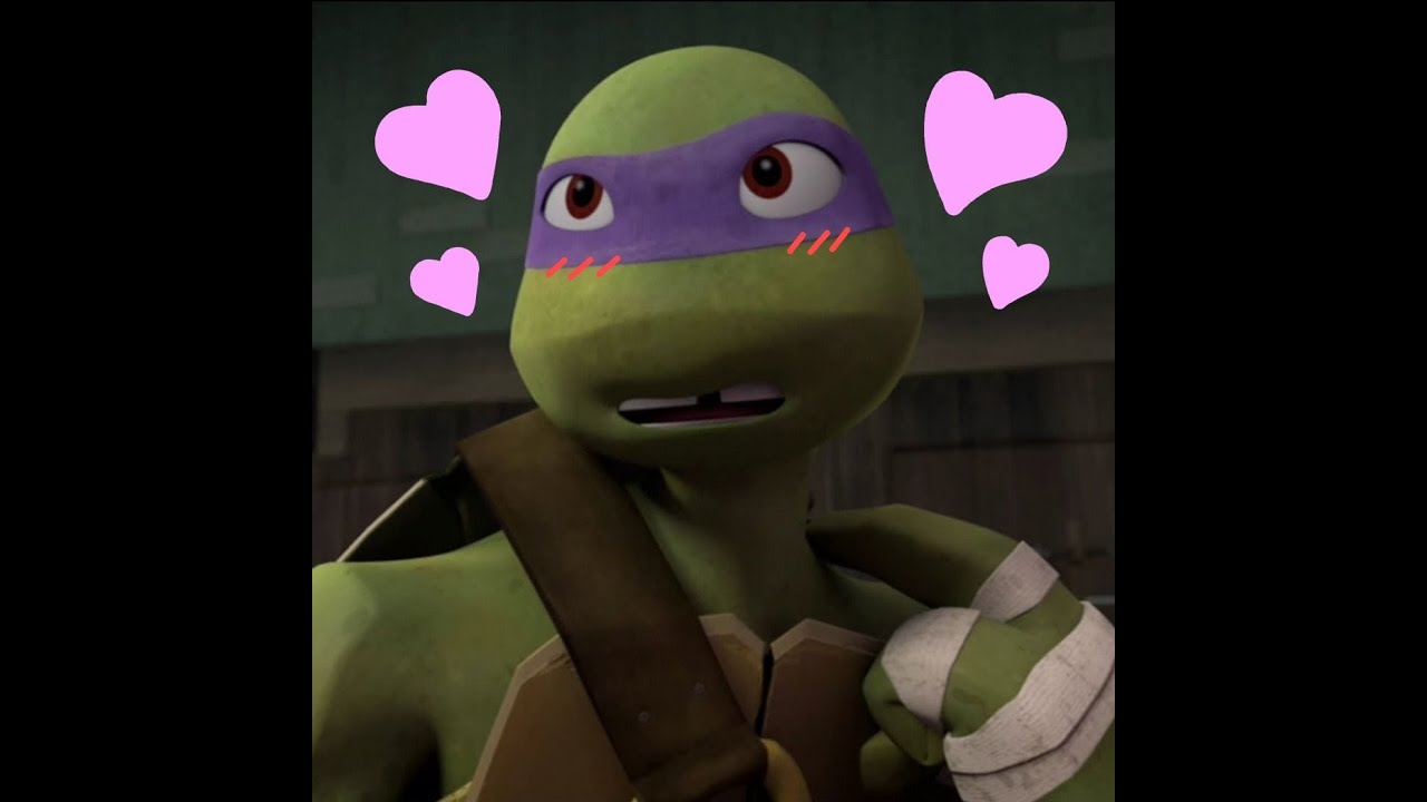 TMNT Donnie x reader Dance