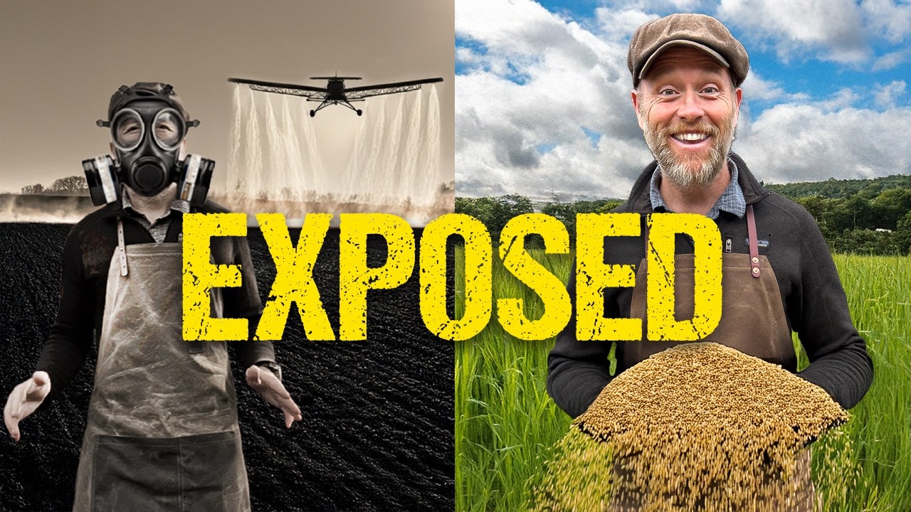 EXPOSED: the Hidden Truths of GMO vs Organic Feed (What We Learned Switching)