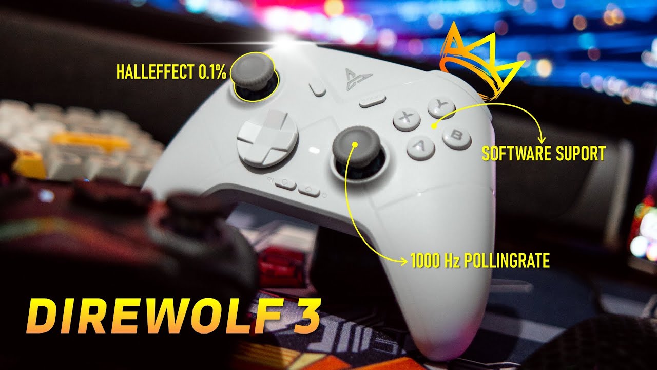 GAMEPAD INI SEMI PREMIUM ? - REVIEW GAMEPAD FLYDIGI DIREWOLF 3
