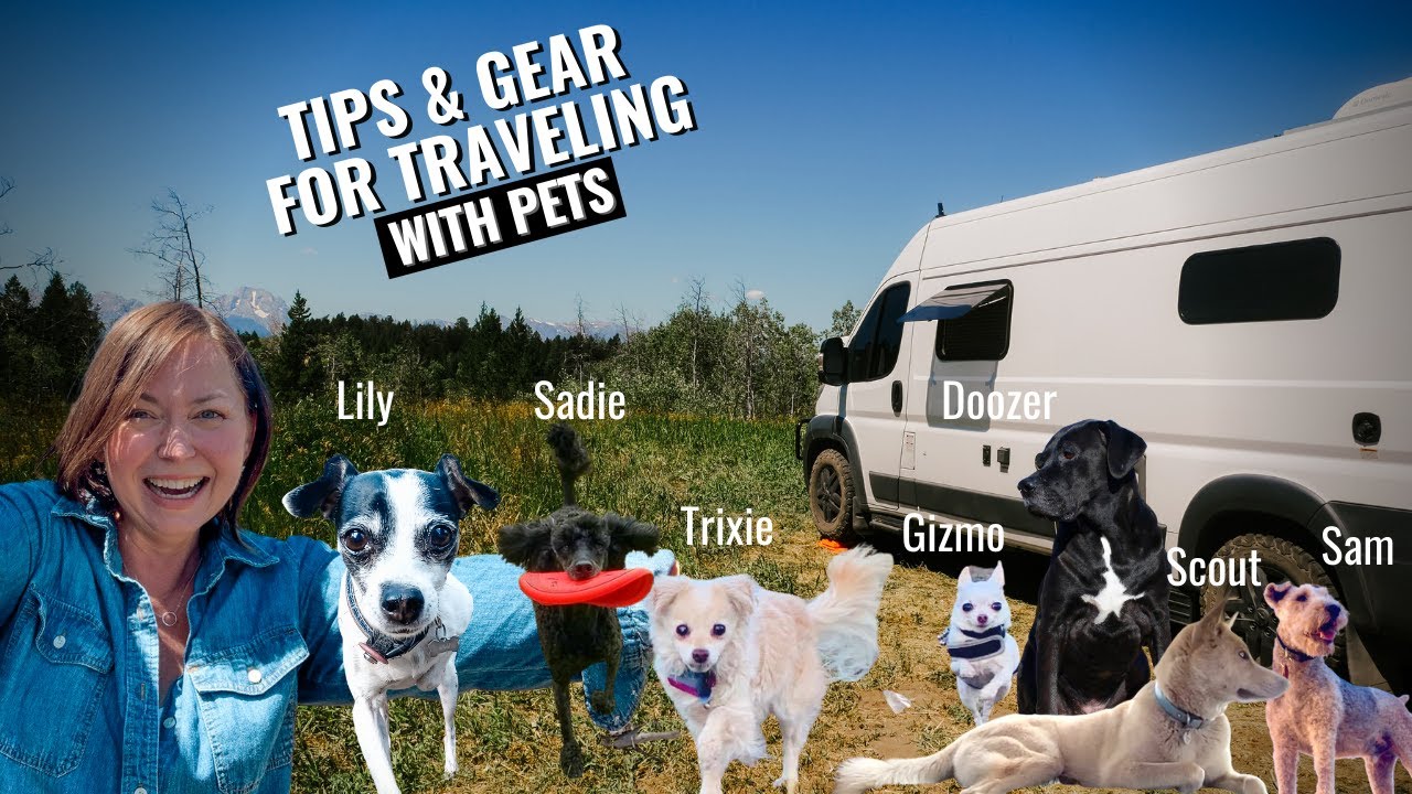 RV Living with Dogs 🐕 | Pet Safety, Traveling in Warmer Climates, Tips & Gear | RV Life Travel Vlog