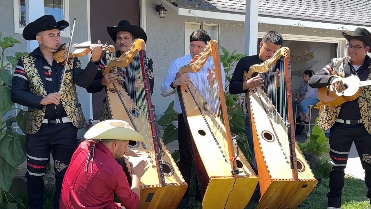 Duelo de grupos de arpas😱 estos 4 grupos tocarán 1 canción y un huapango - Jose Torres 2023