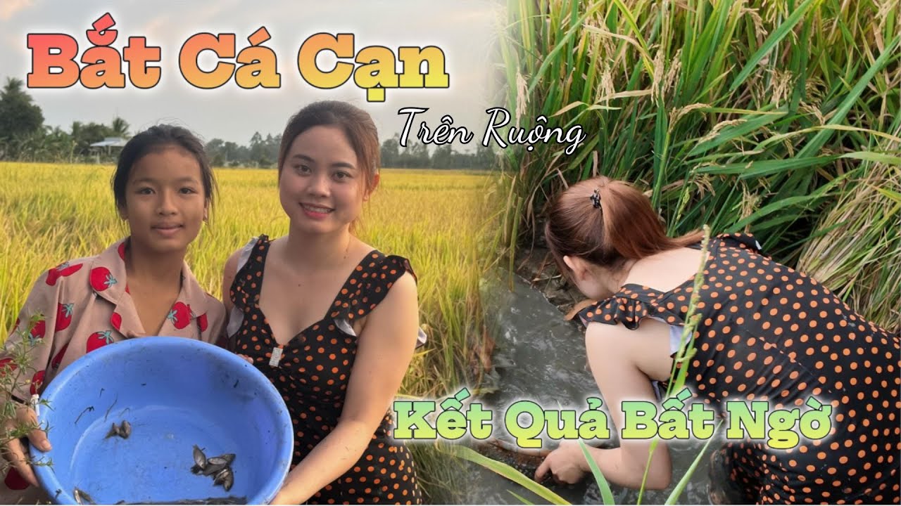 Bắt Cá Cạn Trên Ruộng - Kết Quả Bất Ngờ