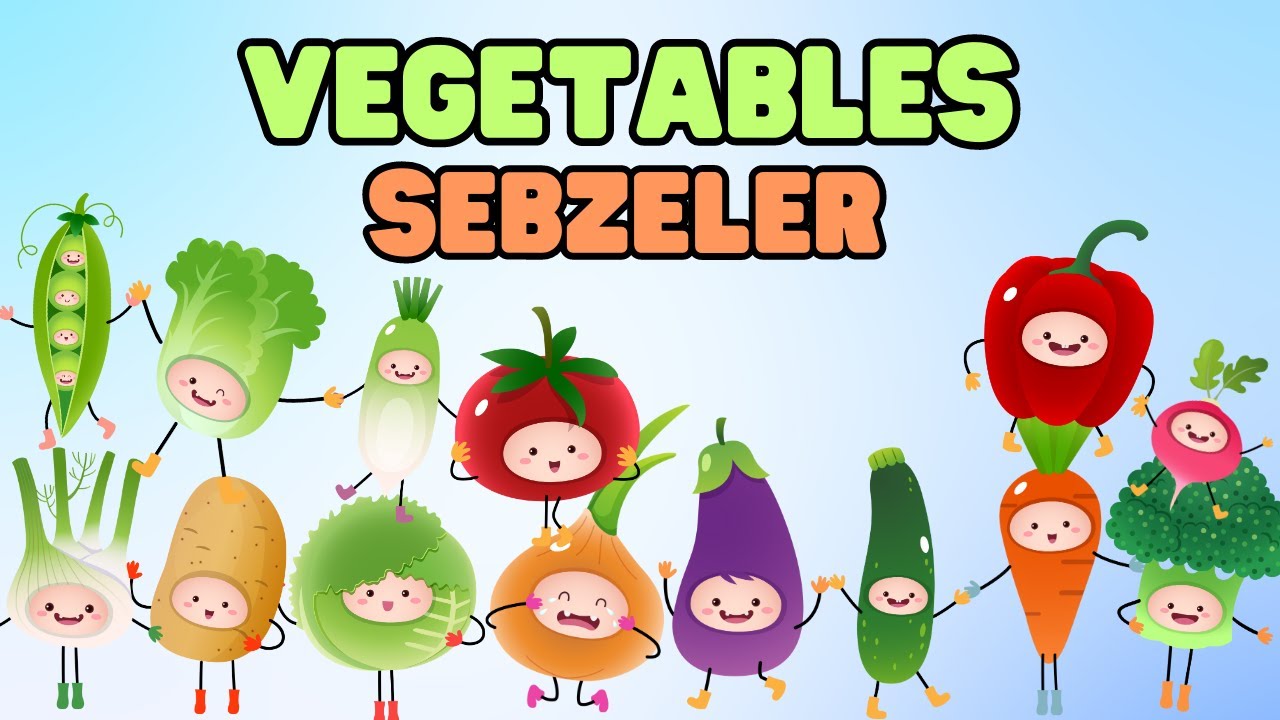 Learn Vegetables Name | Learn vegetables Turkish Vocabulary | vegetables Names with Pictures