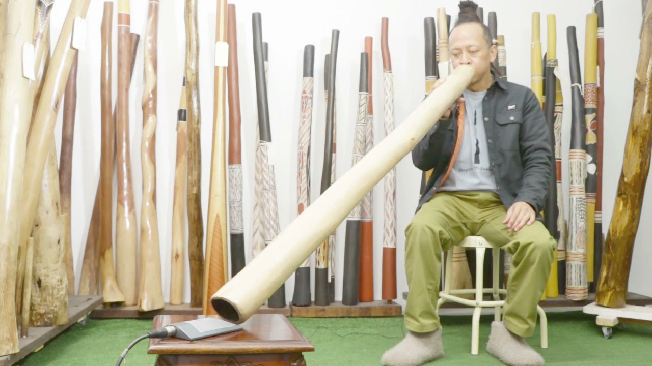 Earl Clements Didgeridoo key of A# Webcode 7646