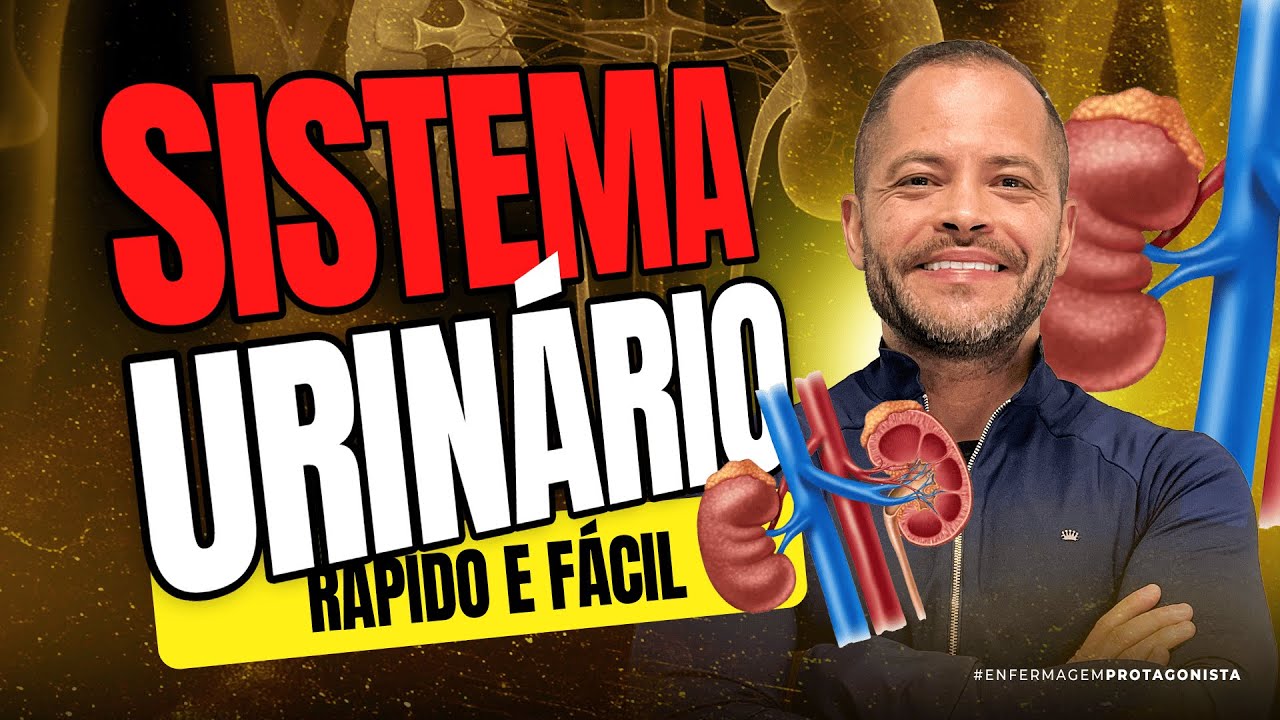 Tudo sobre o Sistema Urinário