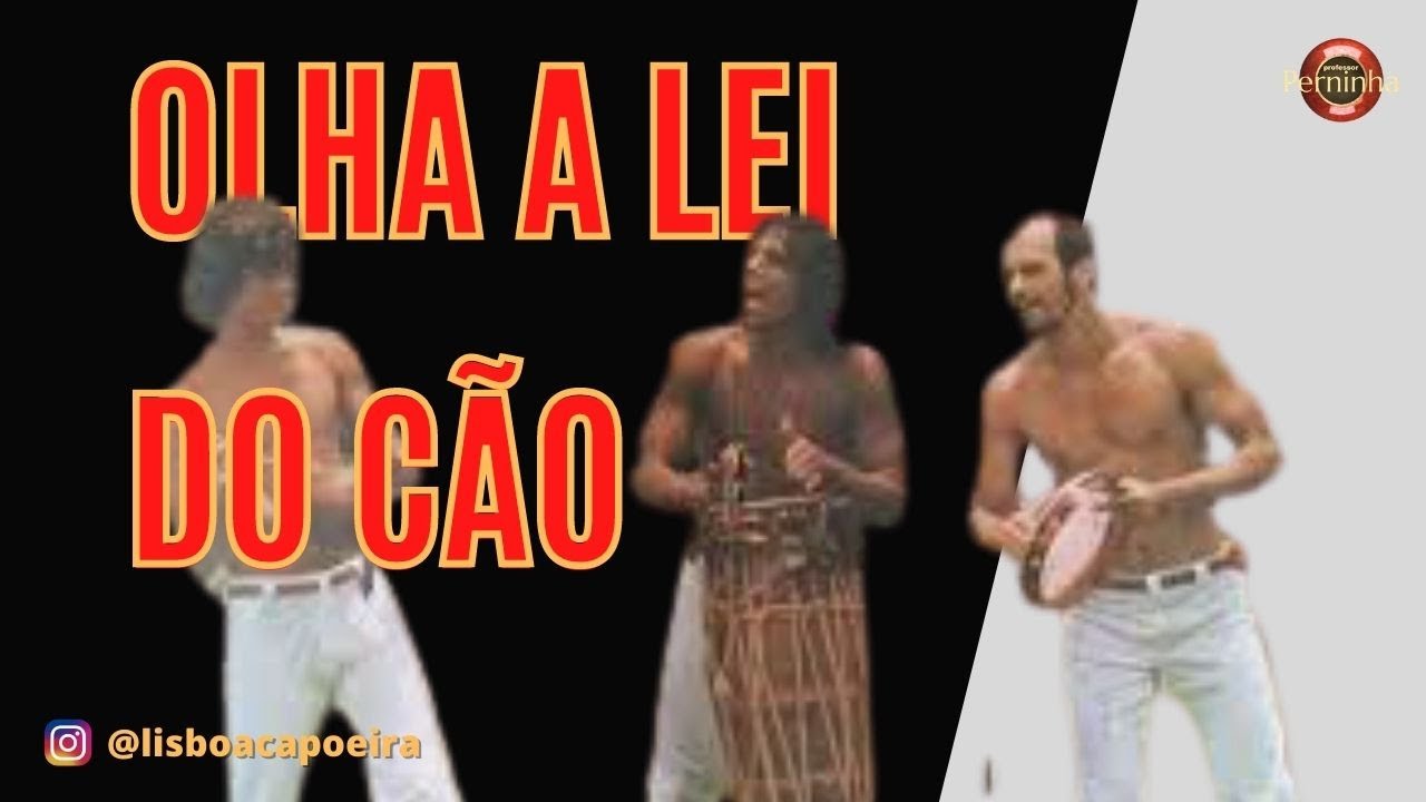 Clássicos - Lei do Cão
