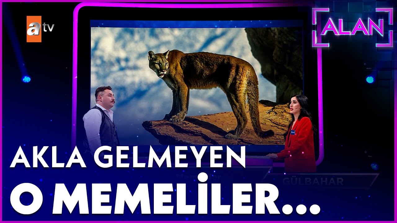 Memeli diyip geçmeyin... - Alan 10. Bölüm