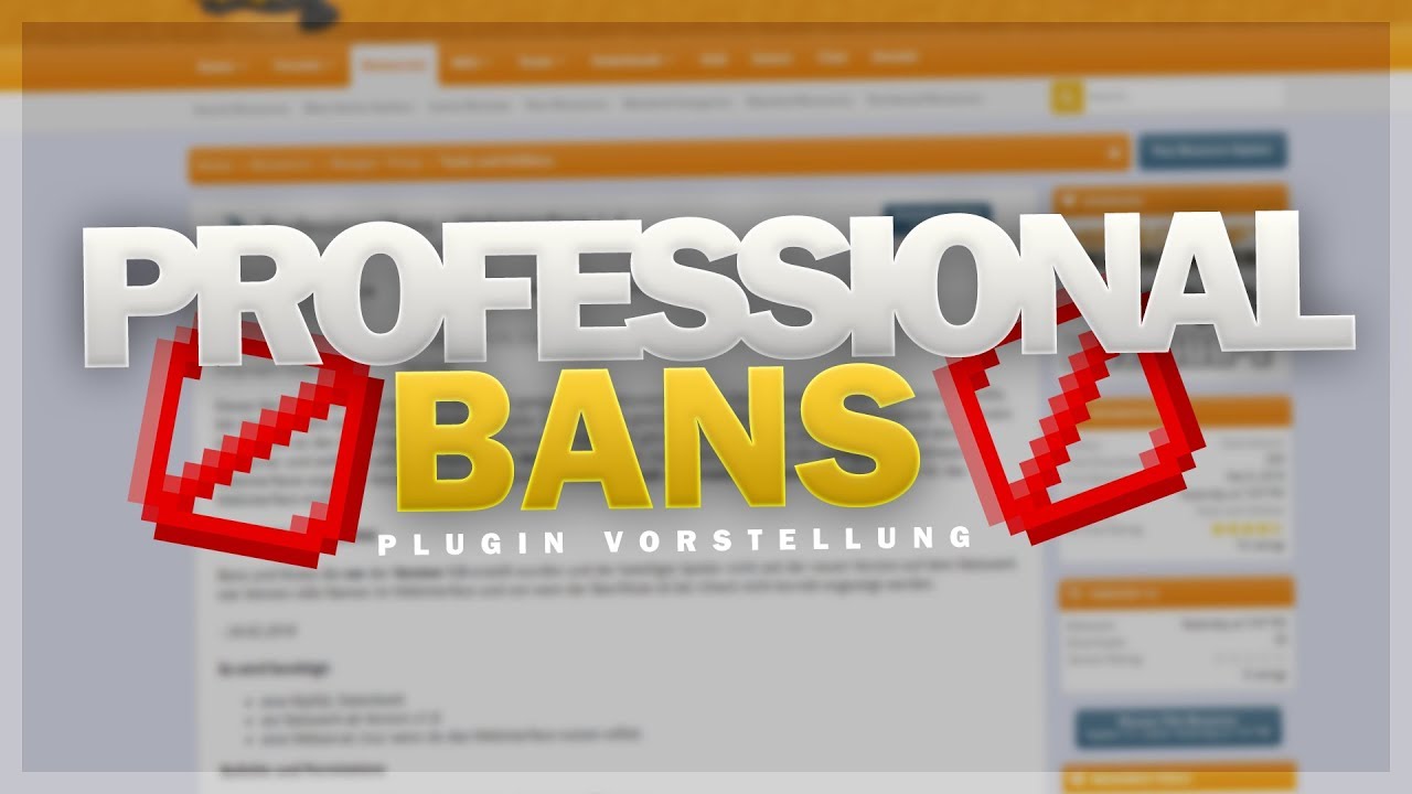 ProfessionalBans - Plugin Vorstellung