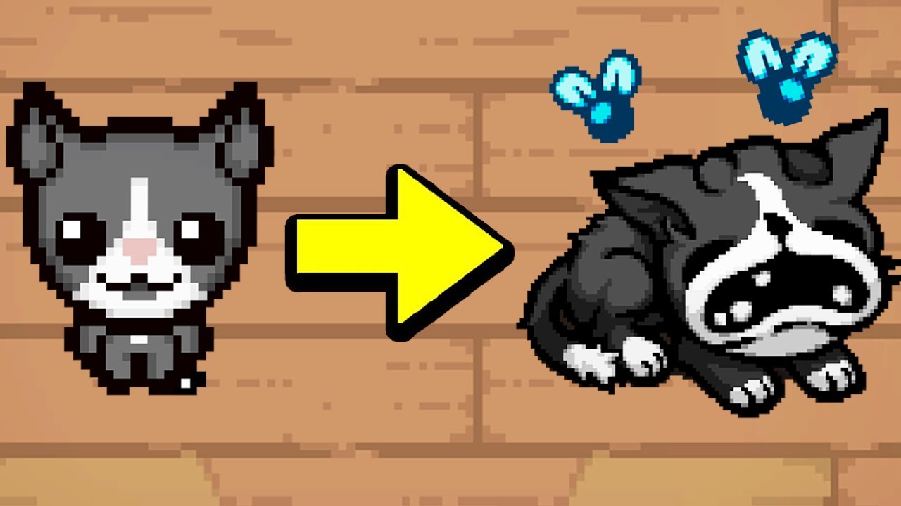 This New Character Has INSANE Synergies