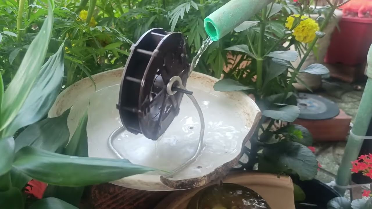 Suối Vườn Zen 🍃 Nhẹ Nhàng Xoa Dịu Tâm Hồn | An Nhiên Zen Garden