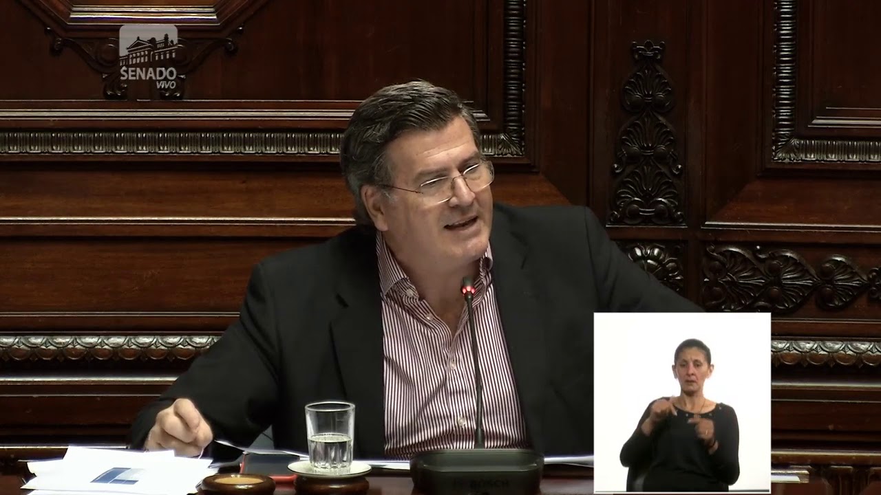 Sesión del Senado sobre moción de censura al ministro Eduardo Bonomi