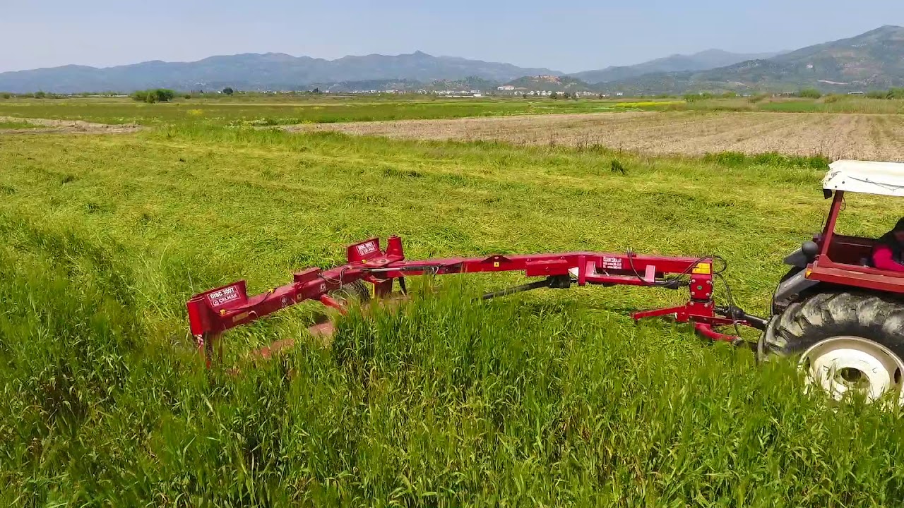 Arpa Otu Hasadı - Fiat 80 66 & Çelmak