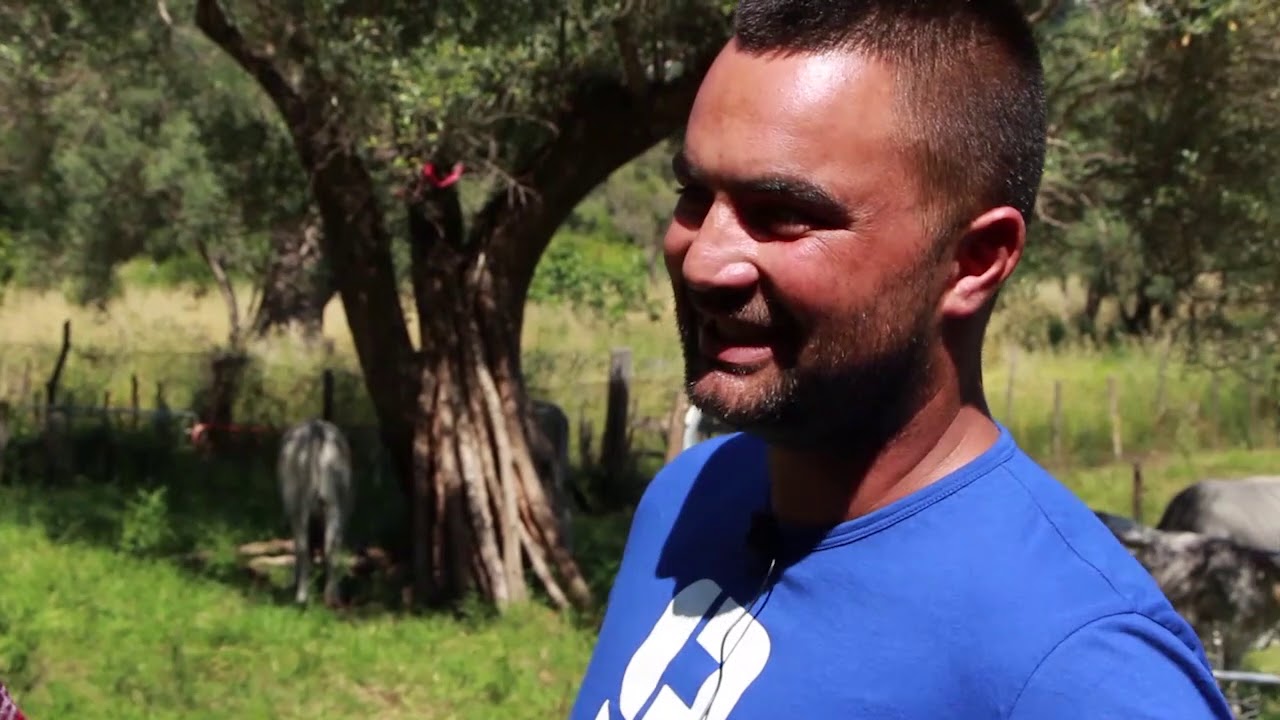 Official Le vie della Transumanza dalla Valle del Lambro a Cuccaro Vetere