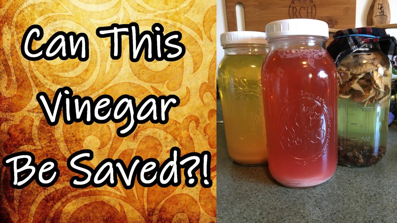 Another Vinegar Q and A