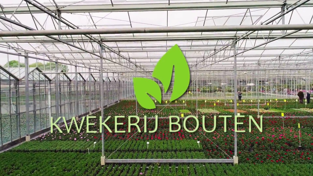Kwekerij Bouten promp