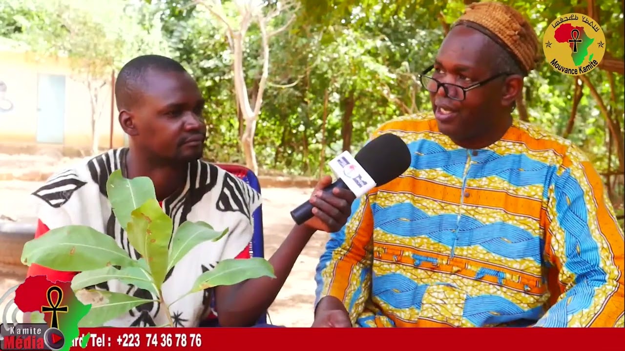 Daniellia Oliveri en Bambara (Sana) et Terminalia Macroptera de son nom scientifique, (Yiri : Wɔlɔ) 
