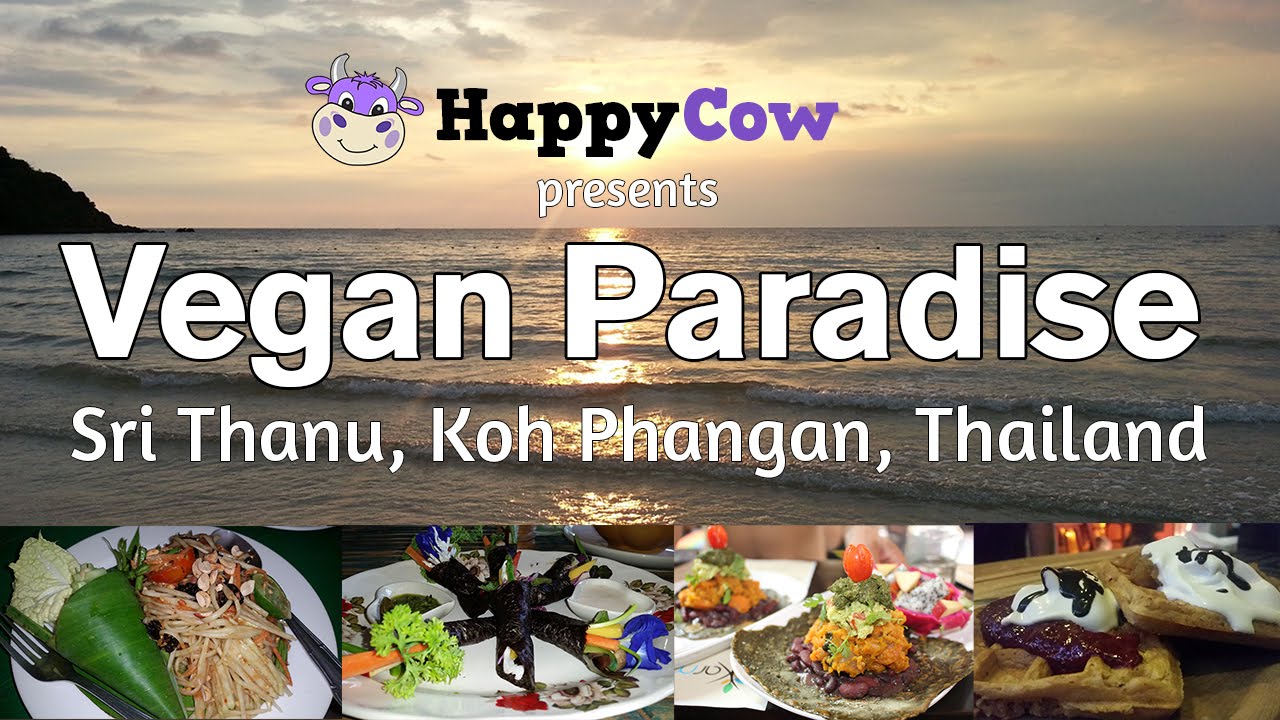 Koh Phangan, Thailand / World's First Vegan Island? Ken Spector interviews
