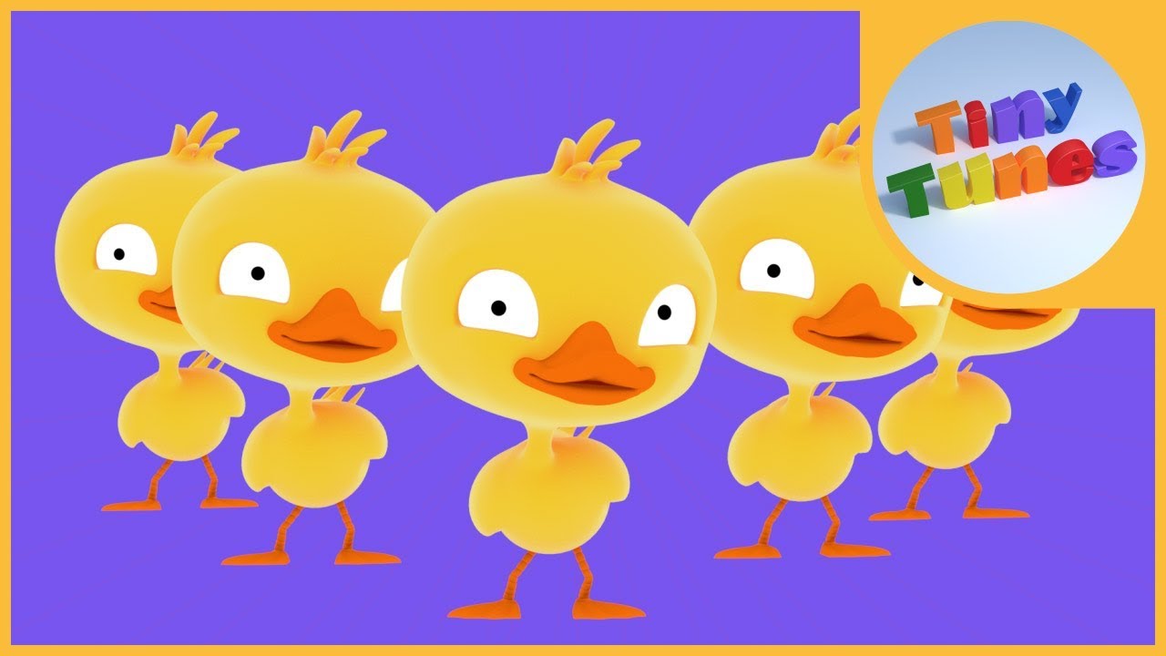 Five little ducks | Counting down from 5 Song | Tiny Tunes