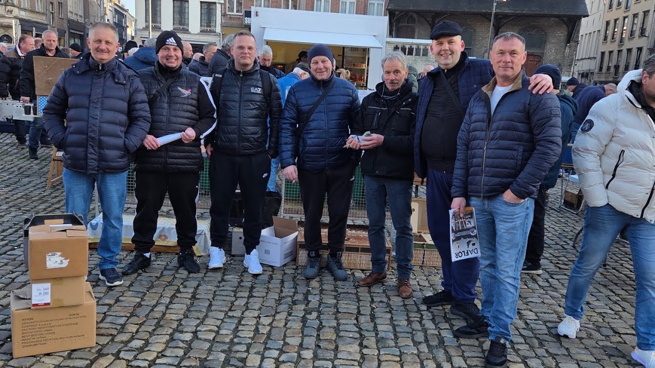 Duivenmarkt Lier - Targi w Lier w Belgi.