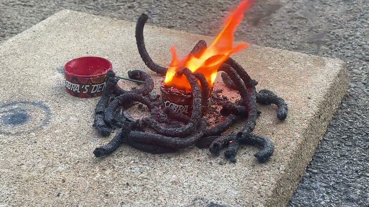 Novelty Fireworks | Snake Firework | Cobras Den Dominator Fireworks #fireworks #experiment #test