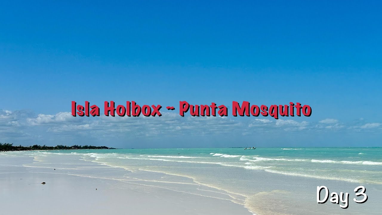 📍Isla Holbox ~ Mexico 🇲🇽 - Punta Mosquito 🦟 #islaholbox #puntamosquito #wanderlust #paradise #vlog