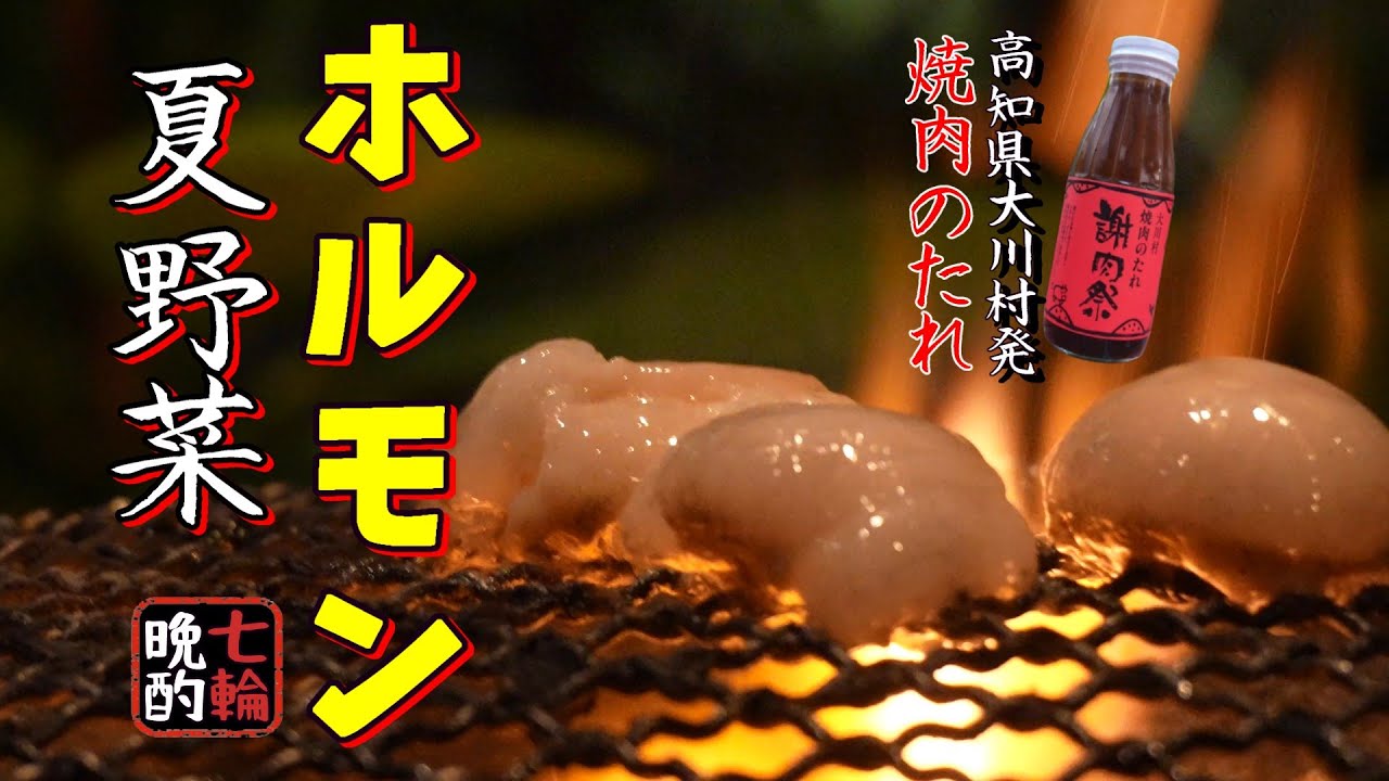 【七輪】謝肉祭とホルモンが父との記憶をよみがえらせた庭飲み。〆のホルモン丼は悪魔のささやき。絶叫する旨さ。
