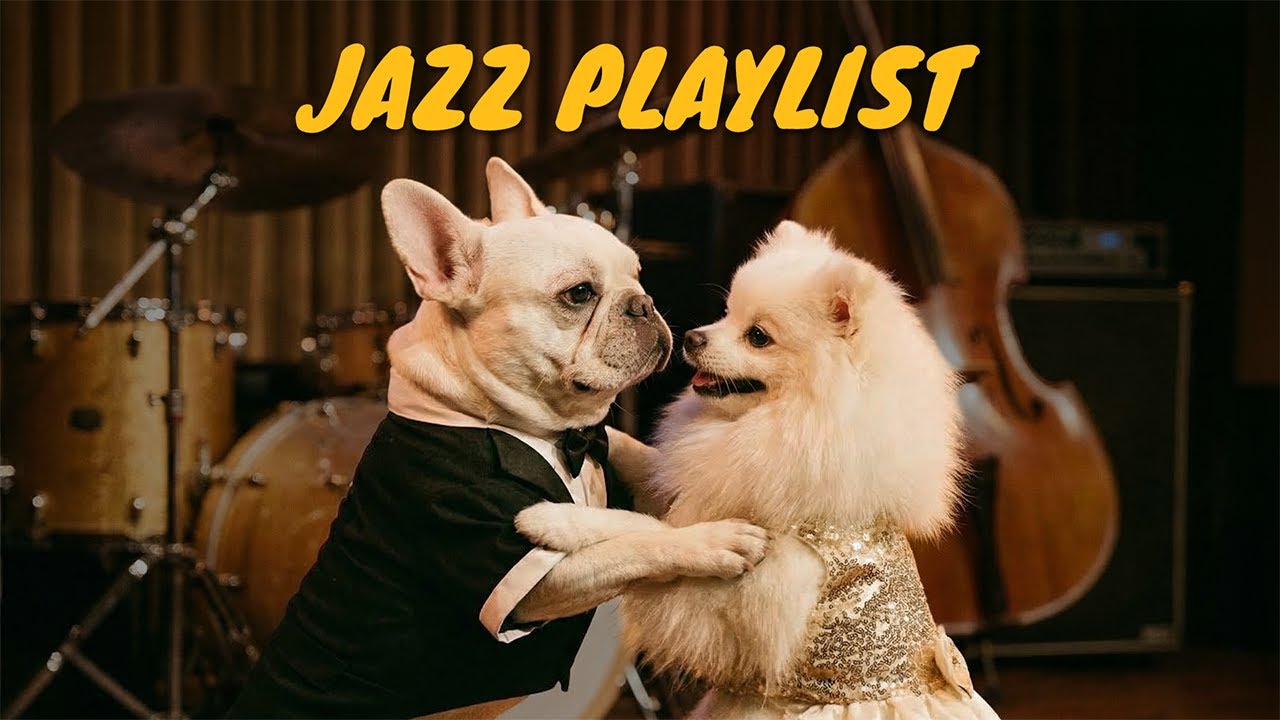 [𝐏𝐥𝐚𝐲𝐥𝐢𝐬𝐭] 트는 순간 재즈바로 변하는 마법 | Jazz Bar Playlist 🎧