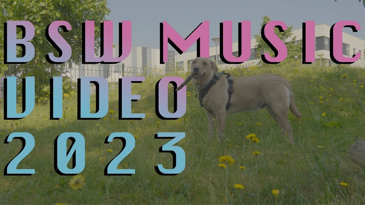 Shut Up And Dance...With BSW | Teacher Music Video 2023