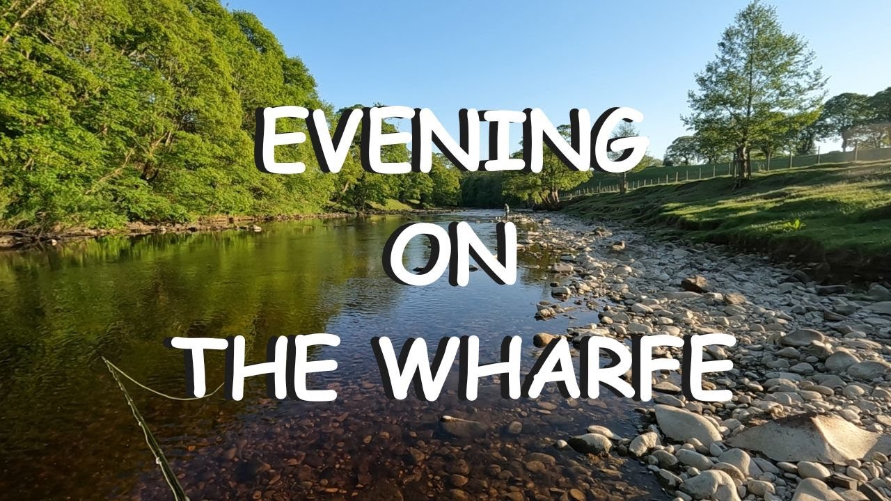 EP 56 - Fly Fishing on the Wharfe | Flies and Rescued Fish