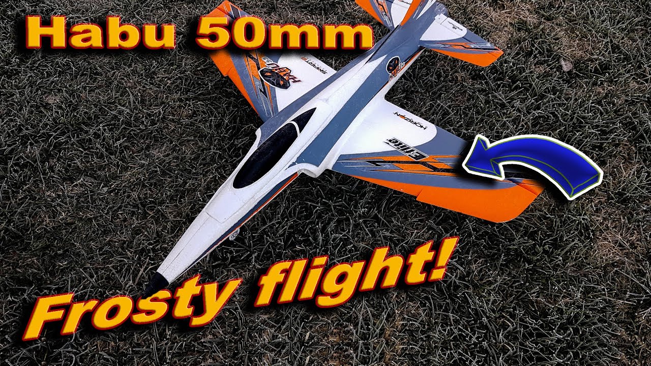 E-Flite Habu 50mm Frosty flight!