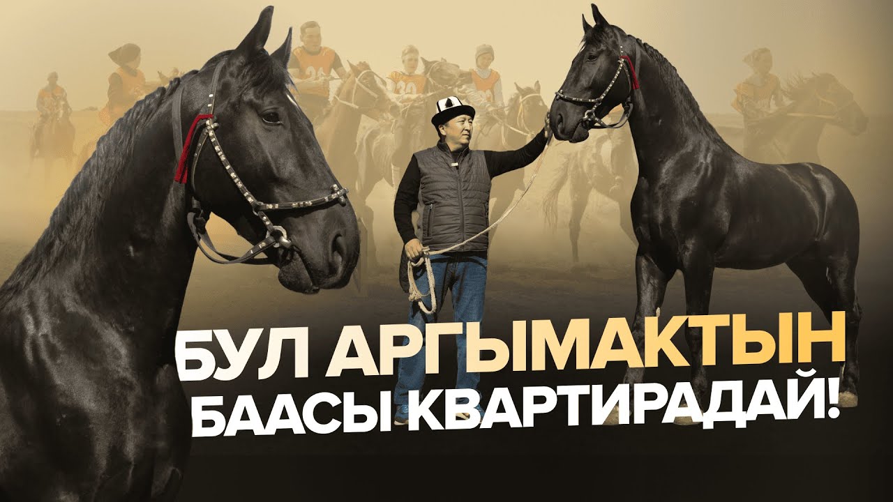 Кыргызстанда эң чоң аргымак фермасы / Төрөбек Умурбеков / Береке Подкаст