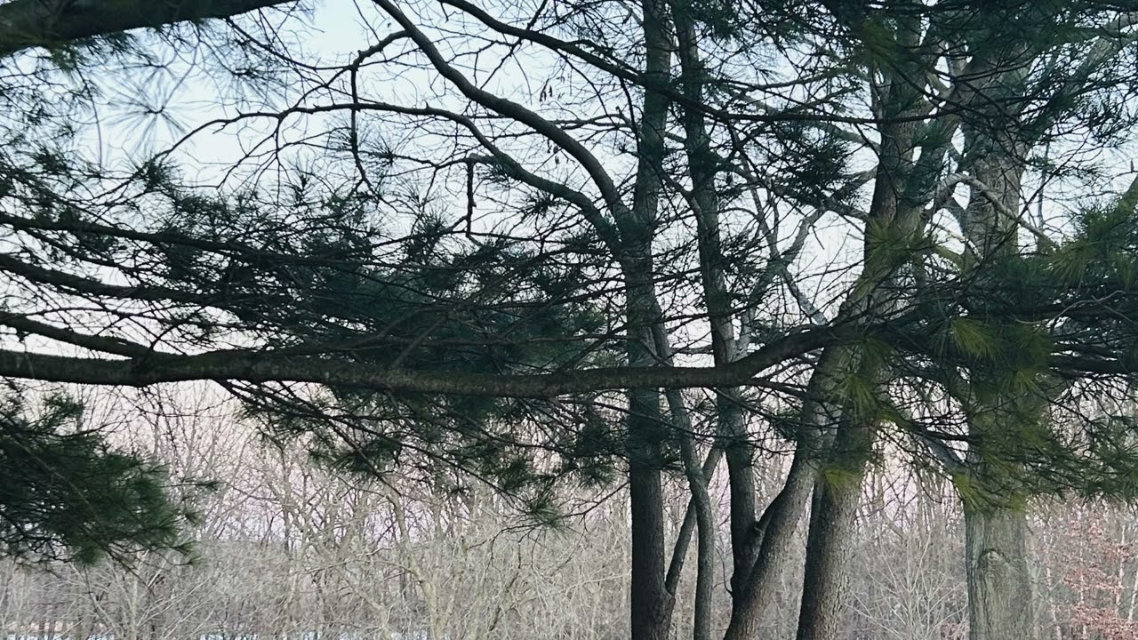 Вихідний