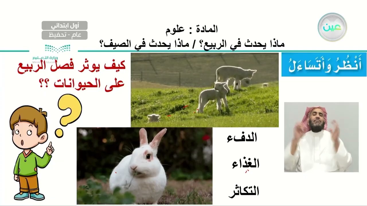 ماذا يحدث في الربيع؟ / ماذا يحدث في الصيف؟ - العلوم - أول ابتدائي