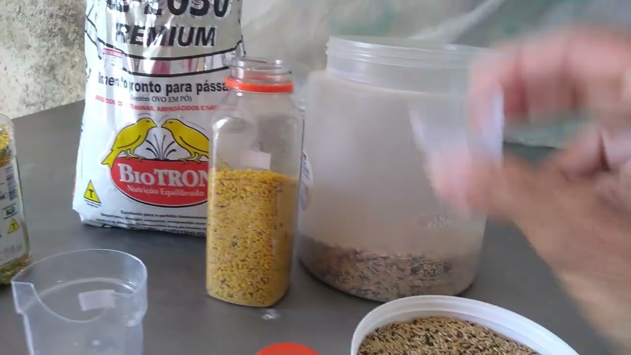 Canaril Manoel Lima falando sobre alimentação de canário belga