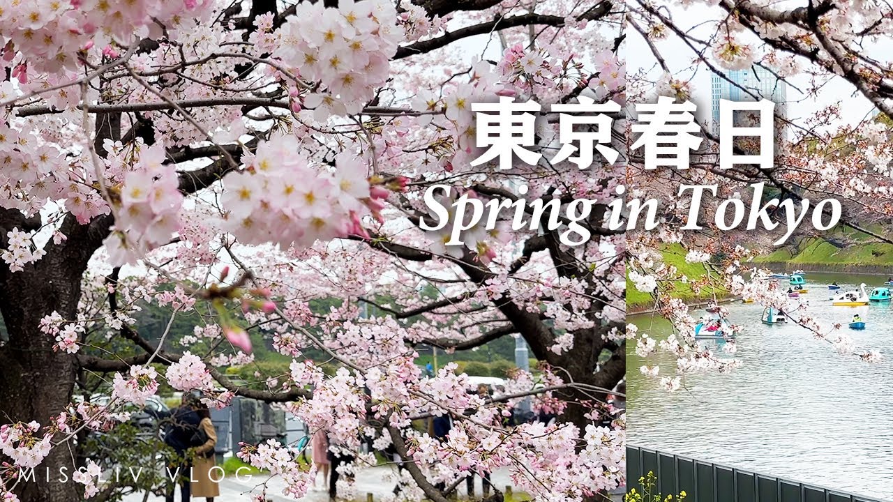 【東京春日賞櫻】目黑川櫻花漫步｜今年春天第一杯草莓香檳｜完成賞櫻夢想清單之一｜皇居 千鳥之淵划船去｜Tokyo Vlog｜日本旅行與生活