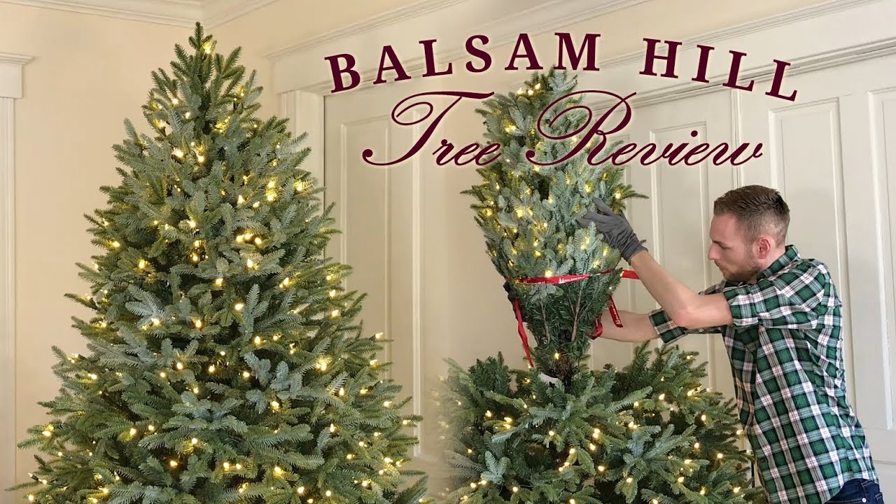 Обзор Balsam Hill Tree – Фрейзер Fir – Реалистичные искусственные рождественские ёлки