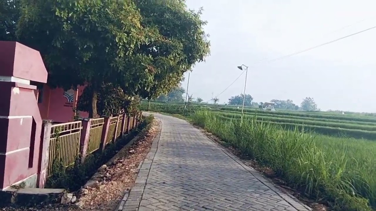 SD Brumbung 2 kec jepon kab Blora 